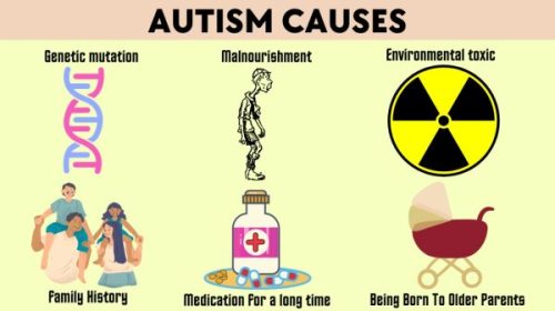 Causes of Autism in Children